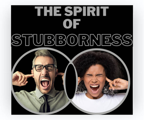 The Spirit of Stubbornness